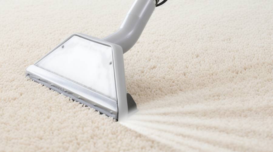 Premier Carpet Cleaners: What Makes WOW Stand Out