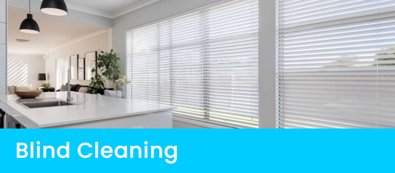 Blinds Cleaning Services