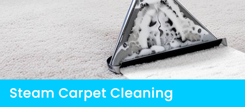 Steam Carpet Cleaning Adelaide