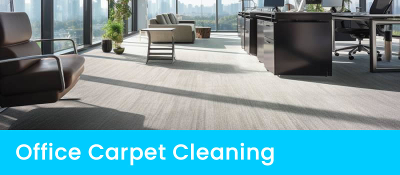 Professional Carpet Cleaning for Businesses