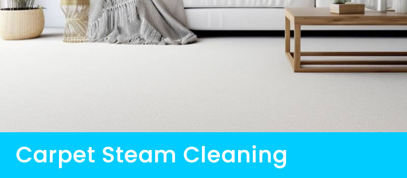 Expert Carpet Steam Cleaner in South Australia